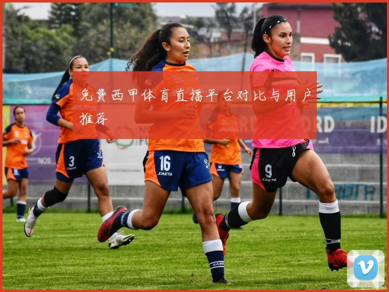 免费西甲体育直播平台对比与用户推荐