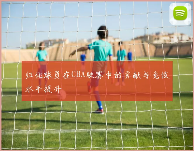 归化球员在CBA联赛中的贡献与竞技水平提升
