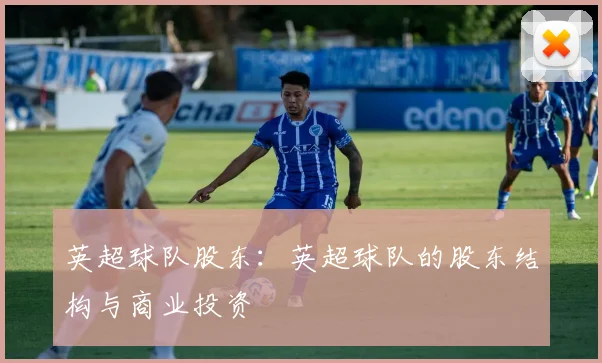 英超球队股东：英超球队的股东结构与商业投资