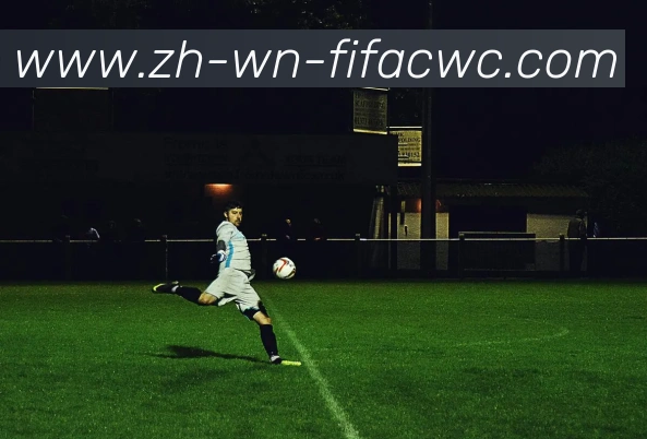 世界杯在线观看平台生态图